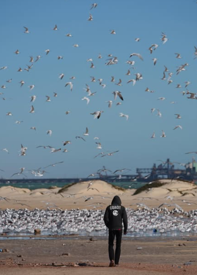 Man walking on beach