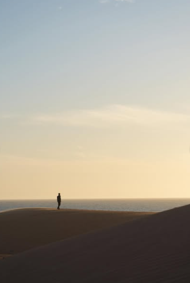 Atlantic coast and dunes